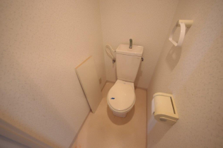 落ち着いた色調のトイレです