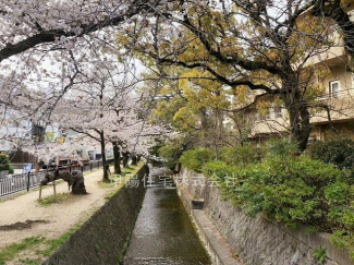 中新田川公園