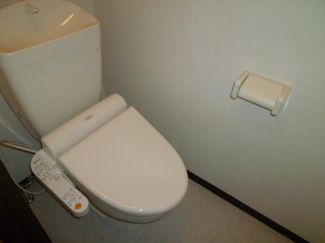 落ち着いた色調のトイレです