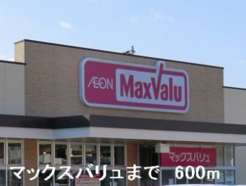 マックスバリュまで600m