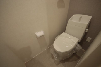 落ち着いたトイレです