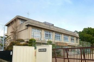 勝原小学校まで650m