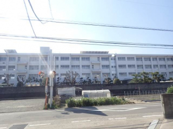 石井東小学校 788m