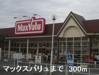 マックスバリュまで300m