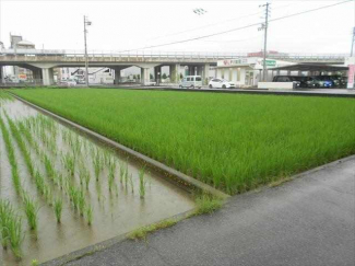 松山市森松町の売地の画像