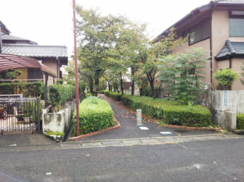 桜ケ丘団地内遊歩道