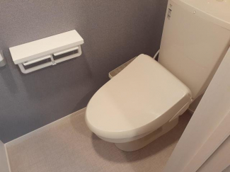 落ち着いた色調のトイレです