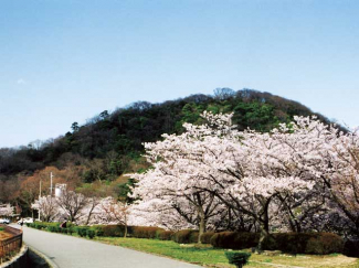 兵庫県立甲山森林公園まで1986m