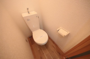 落ち着いた色調のトイレです