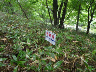 北海道室蘭市水元町の売地の画像