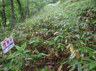 北海道室蘭市水元町の売地の画像