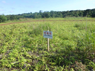 北海道沙流郡日高町字富浜の売地の画像