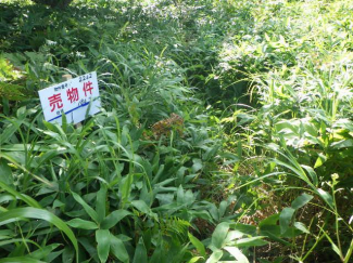 北海道沙流郡日高町字富浜の売地の画像