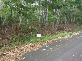 北海道磯谷郡蘭越町字湯里の売地の画像