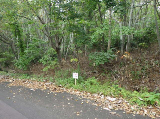 北海道磯谷郡蘭越町字湯里の売地の画像