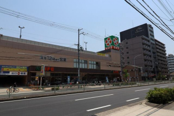 ライフ緑橋店まで350m