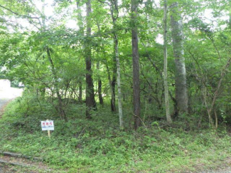 山梨県北杜市大泉町谷戸の売地の画像