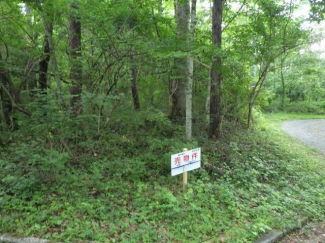 山梨県北杜市大泉町谷戸の売地の画像