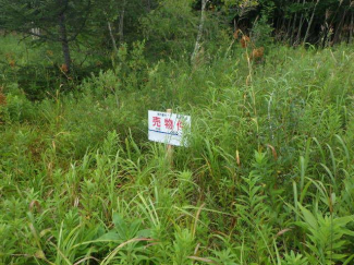 北海道北広島市輪厚の売地の画像