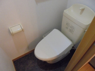 落ち着いた色調のトイレです