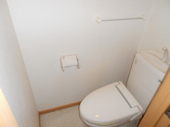 落ち着いた色調のトイレです