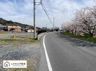 前面道路です。