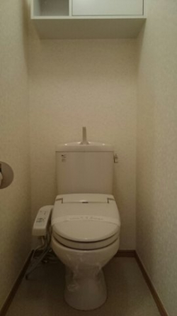 落ち着いた色調のトイレです