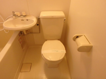 落ち着いた色調のトイレです