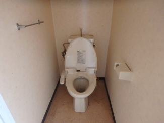 落ち着いた色調のトイレです