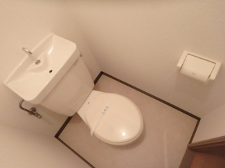 落ち着いた色調のトイレです