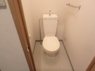 落ち着いた色調のトイレです