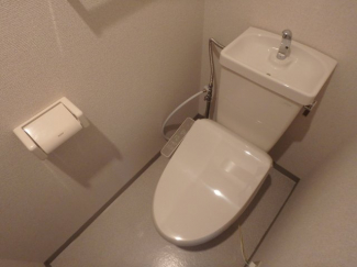 落ち着いた色調のトイレです