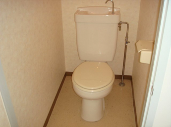 落ち着いた色調のトイレです