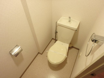 落ち着いた色調のトイレです