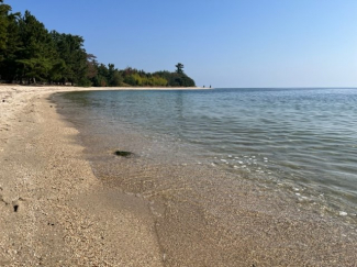 松の浦水泳場