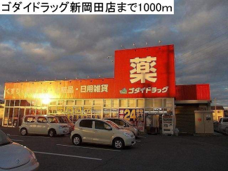 ゴダイドラッグ新岡田店まで1000m