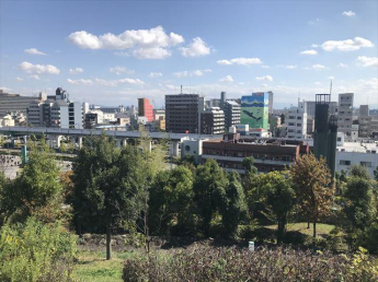 八幡屋公園まで350m