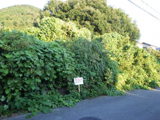 滋賀県長浜市法楽寺町の売地の画像