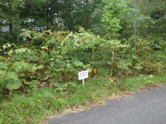 北海道磯谷郡蘭越町字湯里の売地の画像