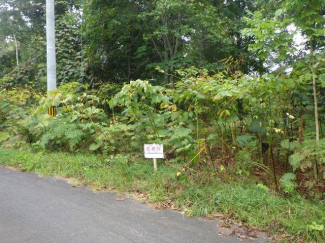 北海道磯谷郡蘭越町字湯里の売地の画像