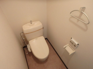 落ち着いた色調のトイレです