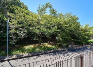 向かいの公園は桜の名所です