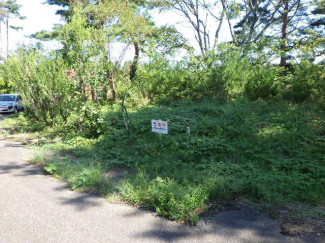 福島県白河市表郷金山字狸山の売地の画像