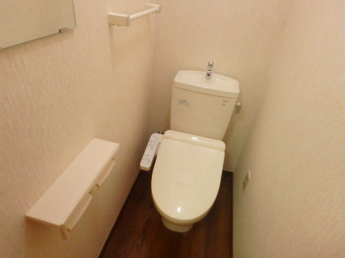 清潔感のあるトイレです