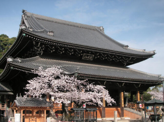 龍谷山水間寺まで3633m