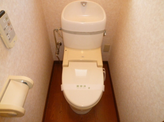 落ち着いた色調のトイレです