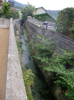 敷地南面水路有日当たり