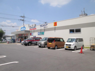 ウエルシア四條畷岡山店まで393m