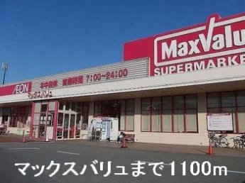 マックスバリュまで1100m