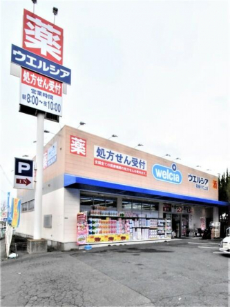 ウエルシア寝屋川打上店まで290m